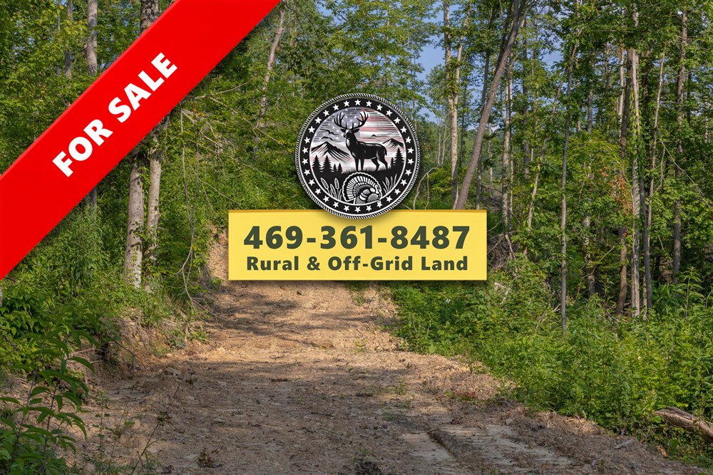 Creek Hollow Phase II Tract 81 - Primary