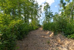 Creek Hollow Phase II Tract 82