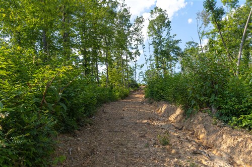 Creek Hollow Phase II Tract 82