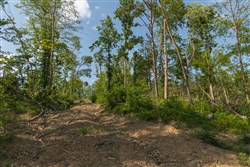 Creek Hollow Phase II Tract 82