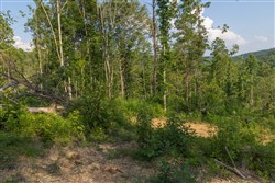Creek Hollow Phase II Tract 82