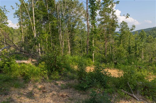 Creek Hollow Phase II Tract 82