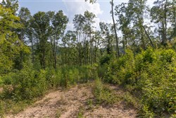 Creek Hollow Phase II Tract 82