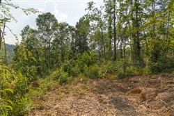 Creek Hollow Phase II Tract 82