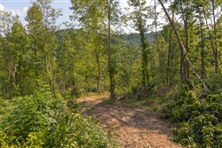 Creek Hollow Phase II Tract 82