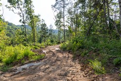 Creek Hollow Phase II Tract 83