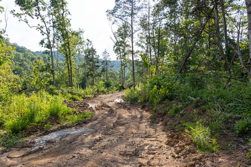 Creek Hollow Phase II Tract 83