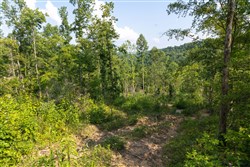 Creek Hollow Phase II Tract 83