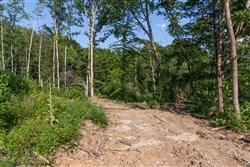 Creek Hollow Phase II Tract 83