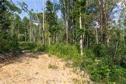 Creek Hollow Phase II Tract 83
