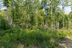 Creek Hollow Phase II Tract 83