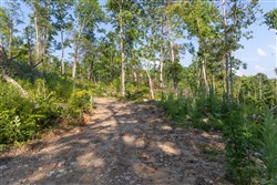 Creek Hollow Phase II Tract 85