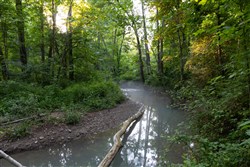 Creek Hollow Phase II Tract 85