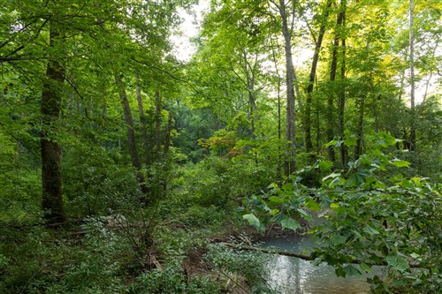 Creek Hollow Phase II Tract 85