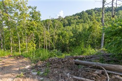 Creek Hollow Phase II Tract 85