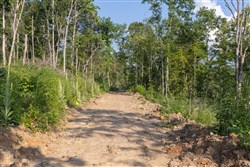 Creek Hollow Phase II Tract 86
