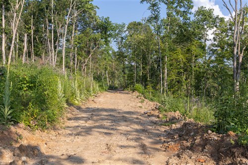 Creek Hollow Phase II Tract 86