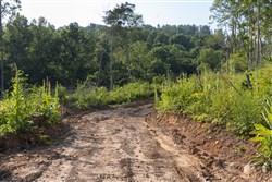Creek Hollow Phase II Tract 86