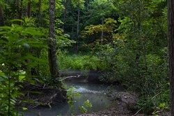 Creek Hollow Phase II Tract 86