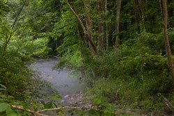 Creek Hollow Phase II Tract 86