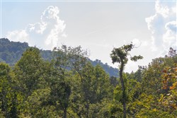 Creek Hollow Phase II Tract 86