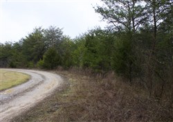 property photo for Majestic Rock Ranch Tract 1, 8.09 acres for sale in Rockcastle County, Kentucky