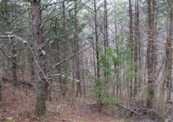 property photo for Majestic Rock Ranch Tract 1, 8.09 acres for sale in Rockcastle County, Kentucky