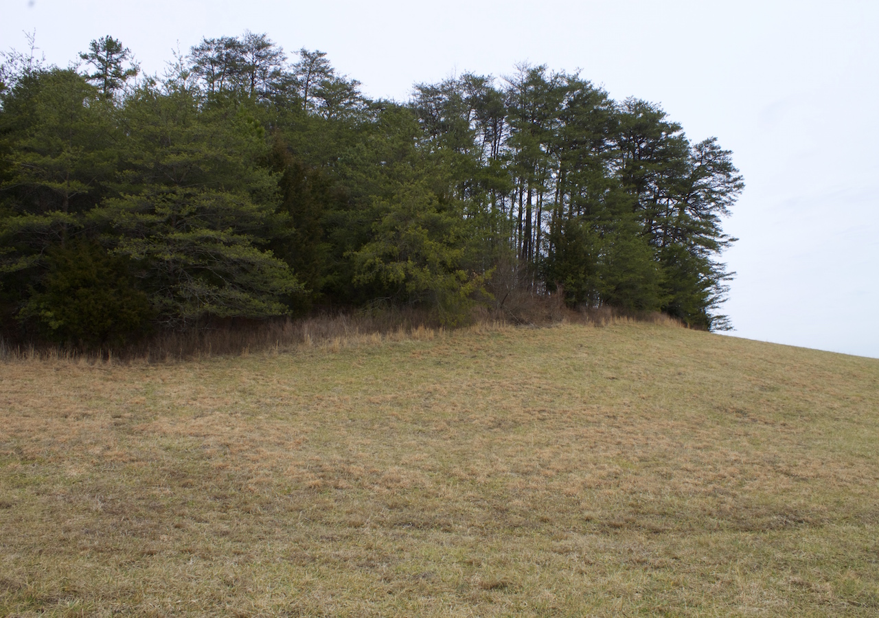 Tract 10 at Majestic Rock Ranch in Rockcastle County, Kentucky