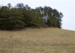 property photo for Majestic Rock Ranch Tract 10, 6.64 acres for sale in Rockcastle County, Kentucky