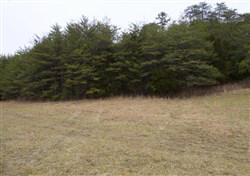 property photo for Majestic Rock Ranch Tract 10, 6.64 acres for sale in Rockcastle County, Kentucky