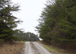 property photo for Majestic Rock Ranch Tract 2, 6.67 acres for sale in Rockcastle County, Kentucky