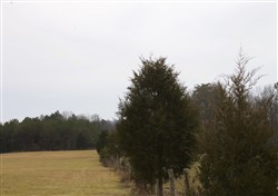property photo for Majestic Rock Ranch Tract 2, 6.67 acres for sale in Rockcastle County, Kentucky