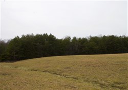 property photo for Majestic Rock Ranch Tract 2, 6.67 acres for sale in Rockcastle County, Kentucky