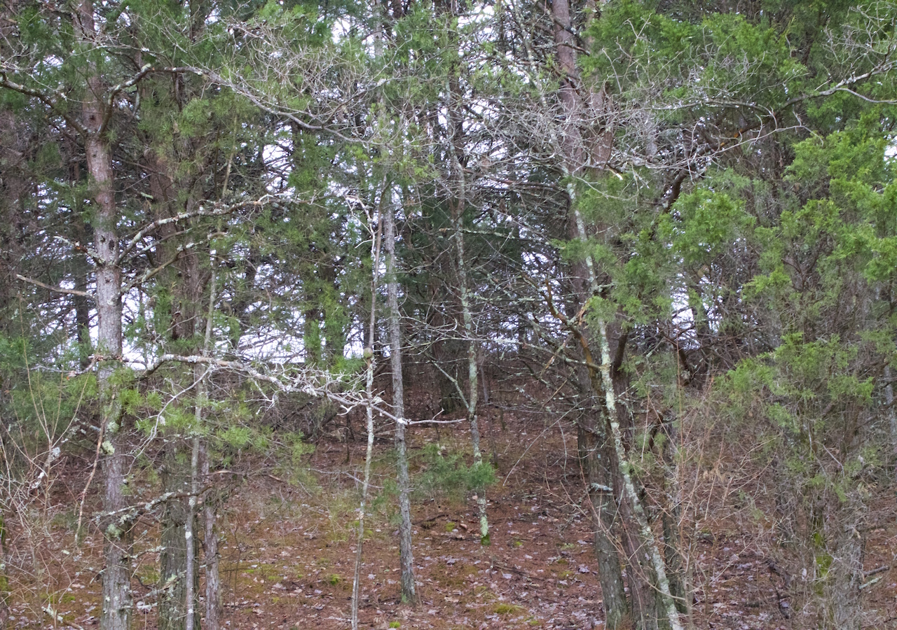 Tract 3 at Majestic Rock Ranch in Rockcastle County, Kentucky