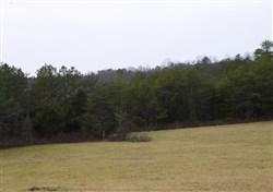 property photo for Majestic Rock Ranch Tract 3, 11.2 acres for sale in Rockcastle County, Kentucky