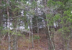 property photo for Majestic Rock Ranch Tract 3, 11.2 acres for sale in Rockcastle County, Kentucky