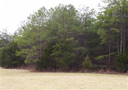 property photo for Majestic Rock Ranch Tract 3, 11.2 acres for sale in Rockcastle County, Kentucky