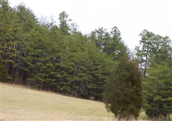 property photo for Majestic Rock Ranch Tract 3, 11.2 acres for sale in Rockcastle County, Kentucky