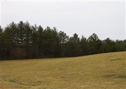 Majestic Rock Ranch Tract 4