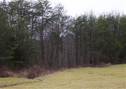 Majestic Rock Ranch Tract 4