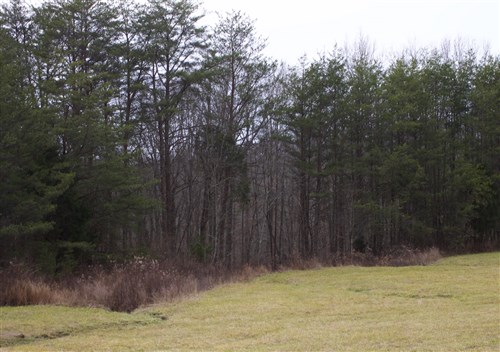 Majestic Rock Ranch Tract 4