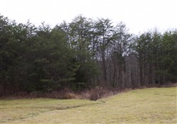 Majestic Rock Ranch Tract 4