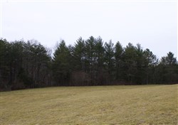 Majestic Rock Ranch Tract 4