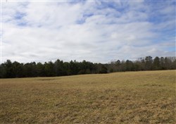 property photo for Majestic Rock Ranch Tract 5, 8.85 acres for sale in Rockcastle County, Kentucky