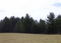 property photo for Majestic Rock Ranch Tract 5, 8.85 acres for sale in Rockcastle County, Kentucky