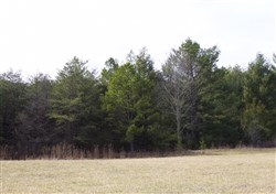 property photo for Majestic Rock Ranch Tract 5, 8.85 acres for sale in Rockcastle County, Kentucky