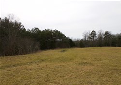 property photo for Majestic Rock Ranch Tract 6, 7.34 acres for sale in Rockcastle County, Kentucky