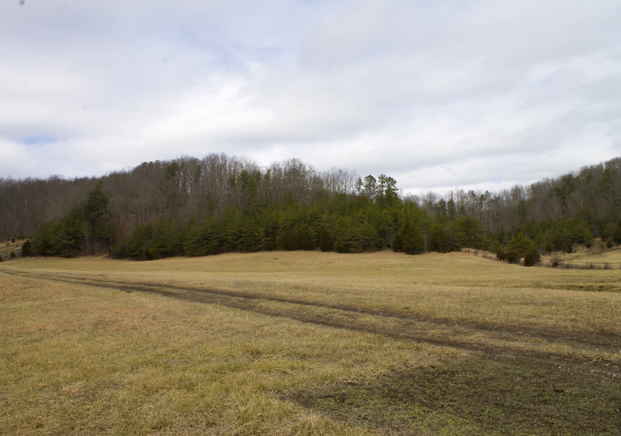 Tract 7 at Majestic Rock Ranch in Rockcastle County, Kentucky