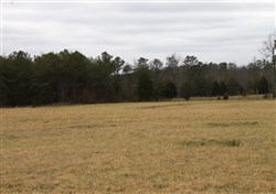 property photo for Majestic Rock Ranch Tract 7, 7.36 acres for sale in Rockcastle County, Kentucky