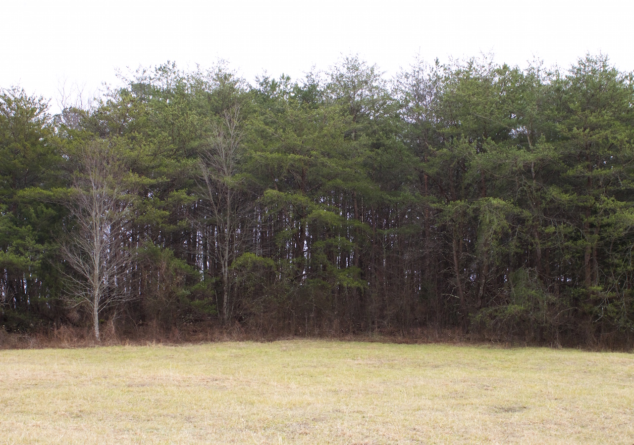 Tract 8 at Majestic Rock Ranch in Rockcastle County, Kentucky